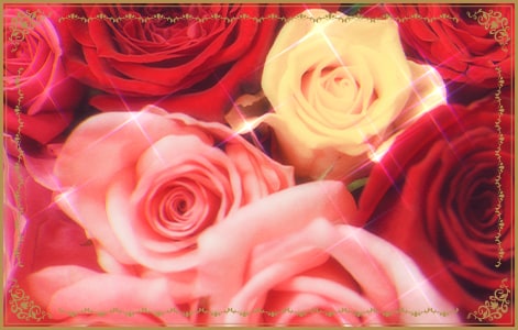 ブライダル直前コースのメイン画像